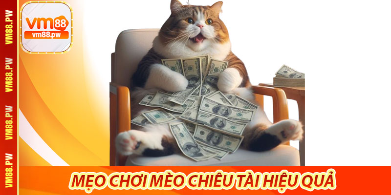 Nổ Hũ Mèo Chiêu Tài – Trò chơi may mắn đậm chất Á Đông 7 Mẹo chơi Mèo Chiêu Tài hiệu quả